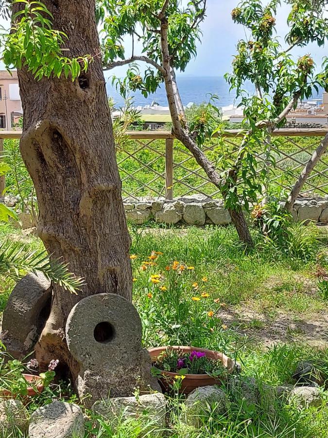 Villa Symphony Sea View Forio di Ischia Exterior foto