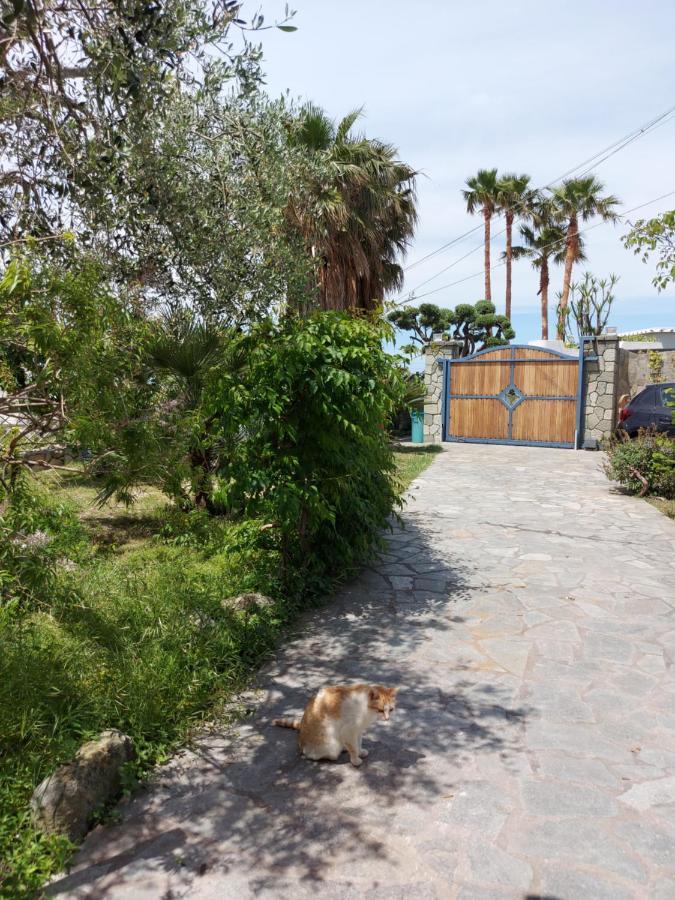 Villa Symphony Sea View Forio di Ischia Exterior foto