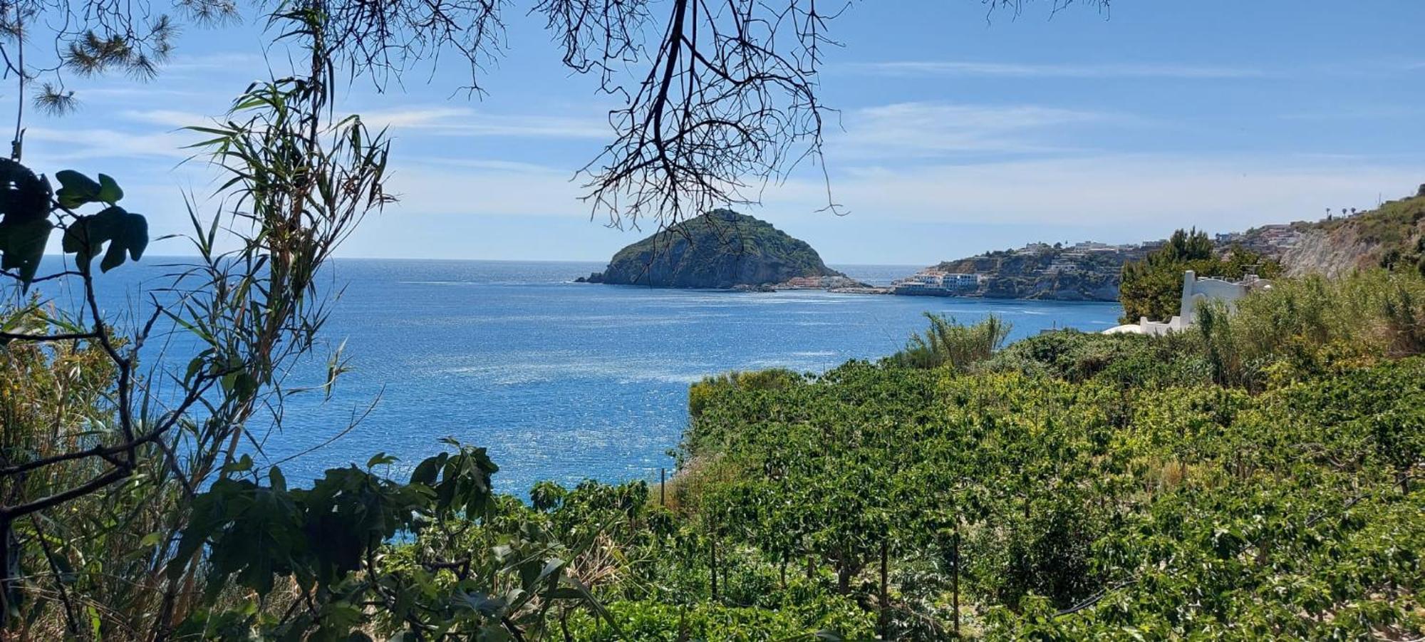 Villa Symphony Sea View Forio di Ischia Exterior foto